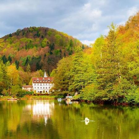 Hotel Pfaelzer Wald 바트버그자베른 외부 사진